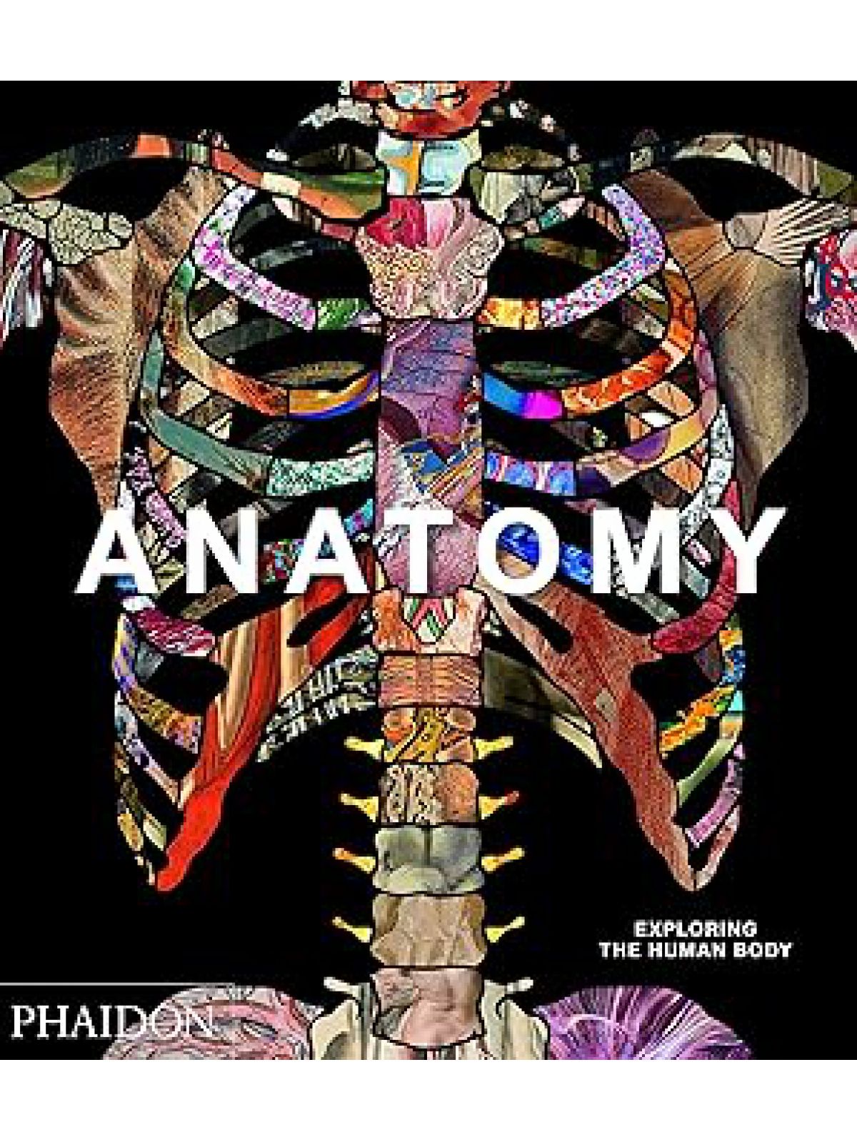 ANATOMY: EXPLORING THE HUMAN BODY