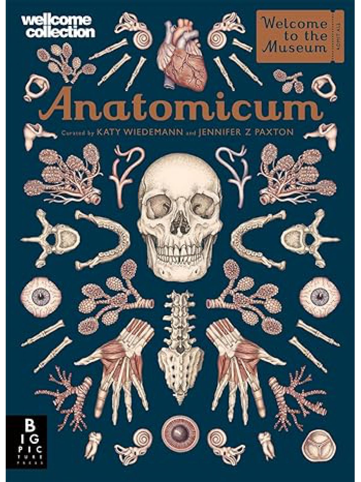 ANATOMICUM
