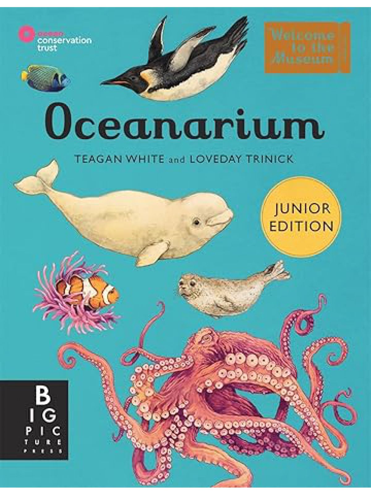 OCEANARIUM (JUNIOR EDITION)