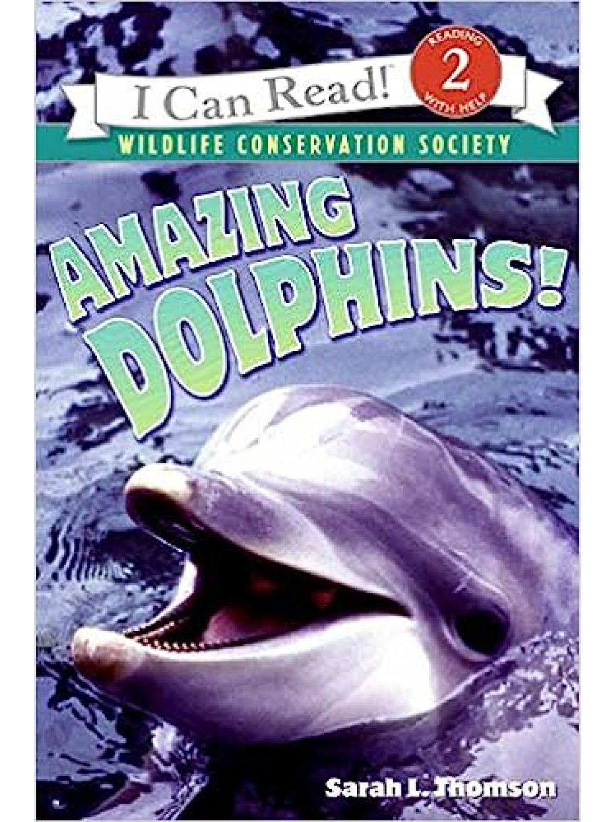 AMAZING DOLPHINS! L2