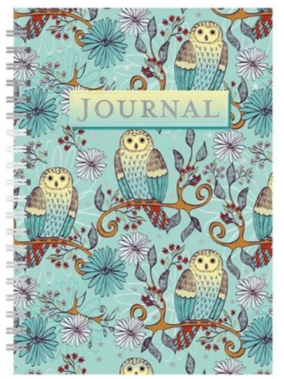 OWLS IN TEAL JOURNAL