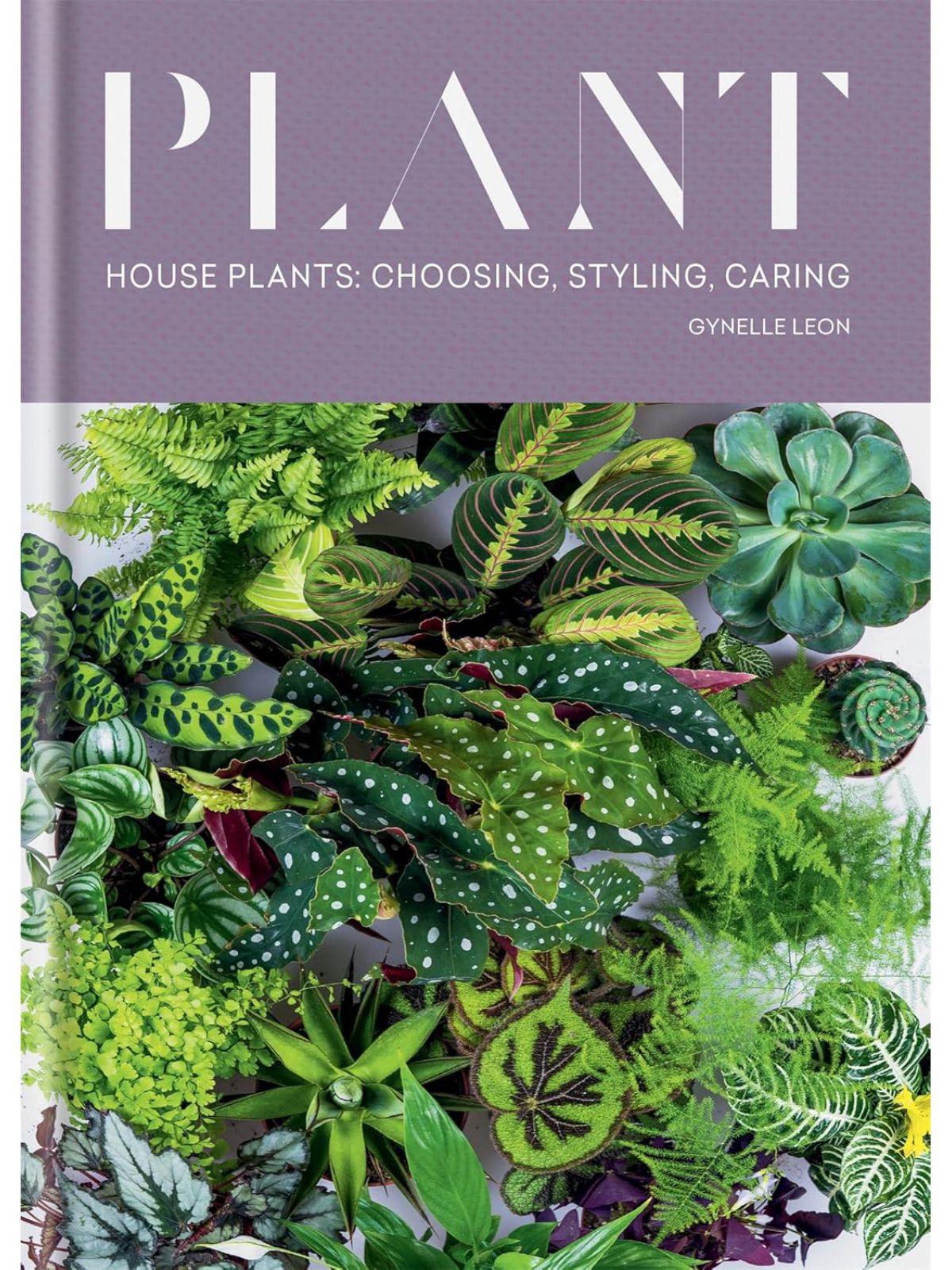 PLANT HOUSE PLANTS CHOOSING STYLING CARING