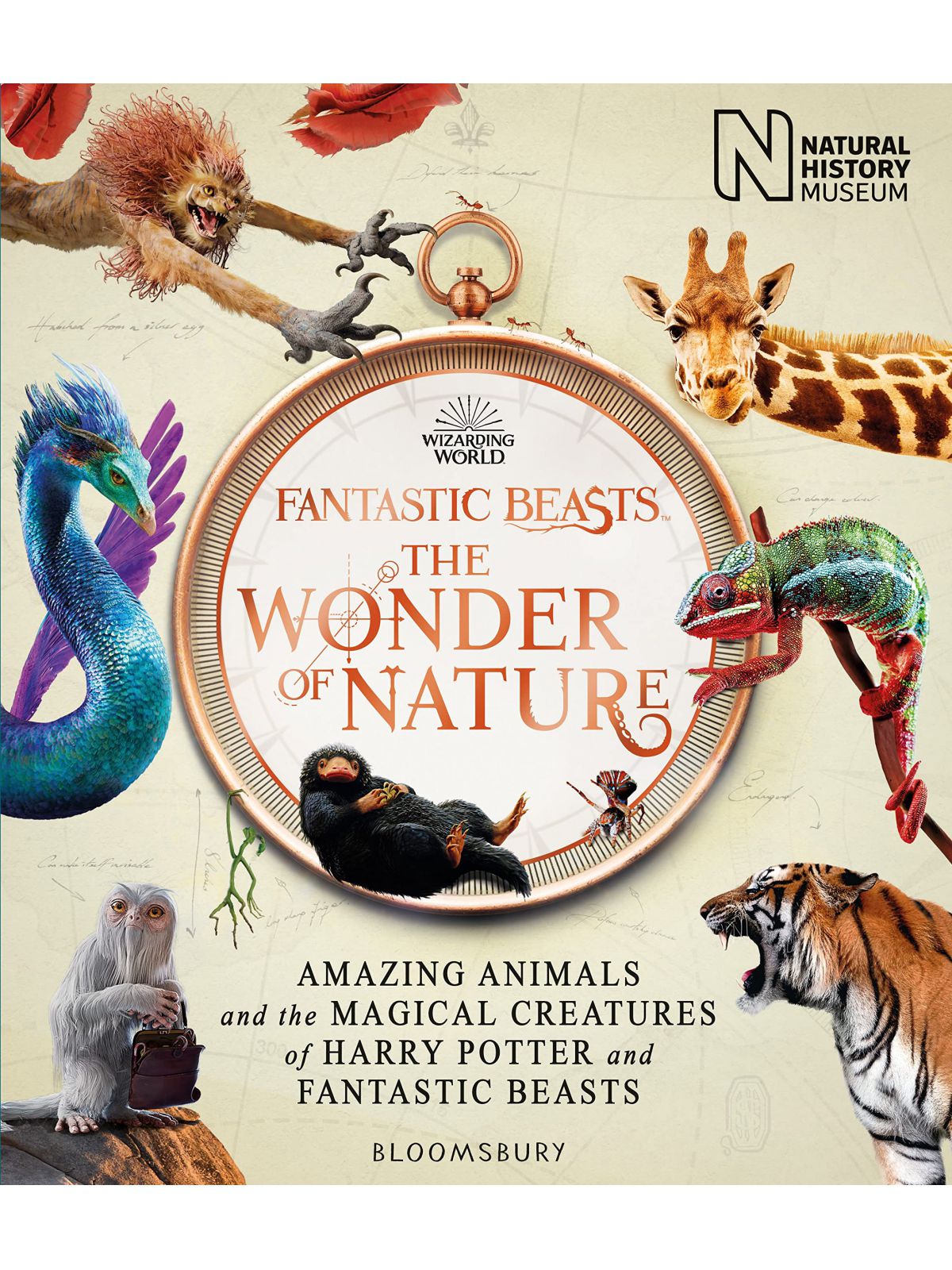 WONDER OF NATURE: AMAZING ANIMALS AND  MAGICAL CREATURES OF HARRY POTTER AND FANTASTIC BEASTS
