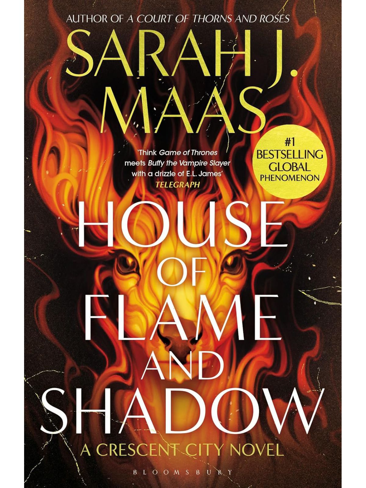 HOUSE OF FLAME AND SHADOW (CRESCENT CITY #3)