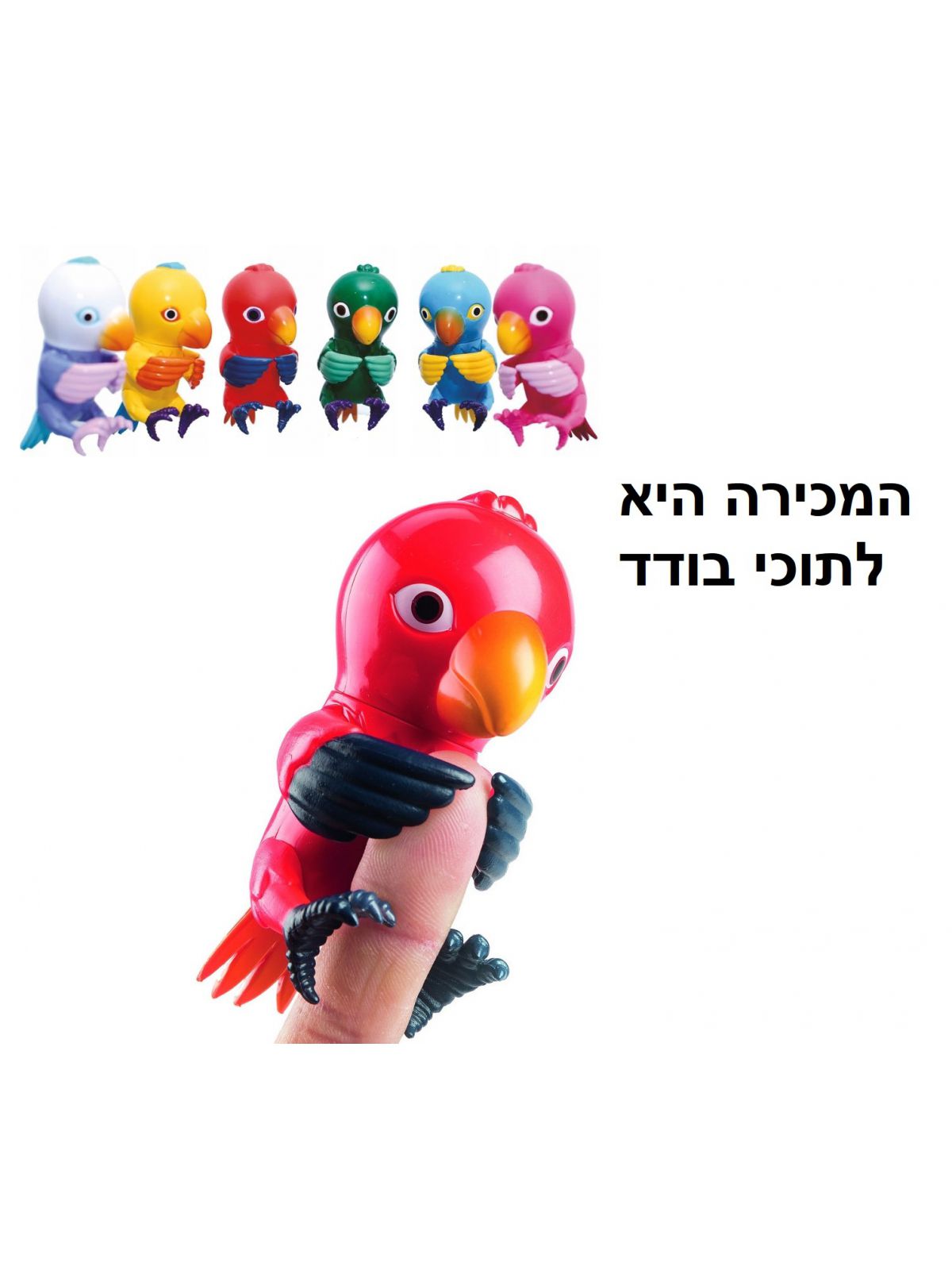 תוכי אצבע מדבר