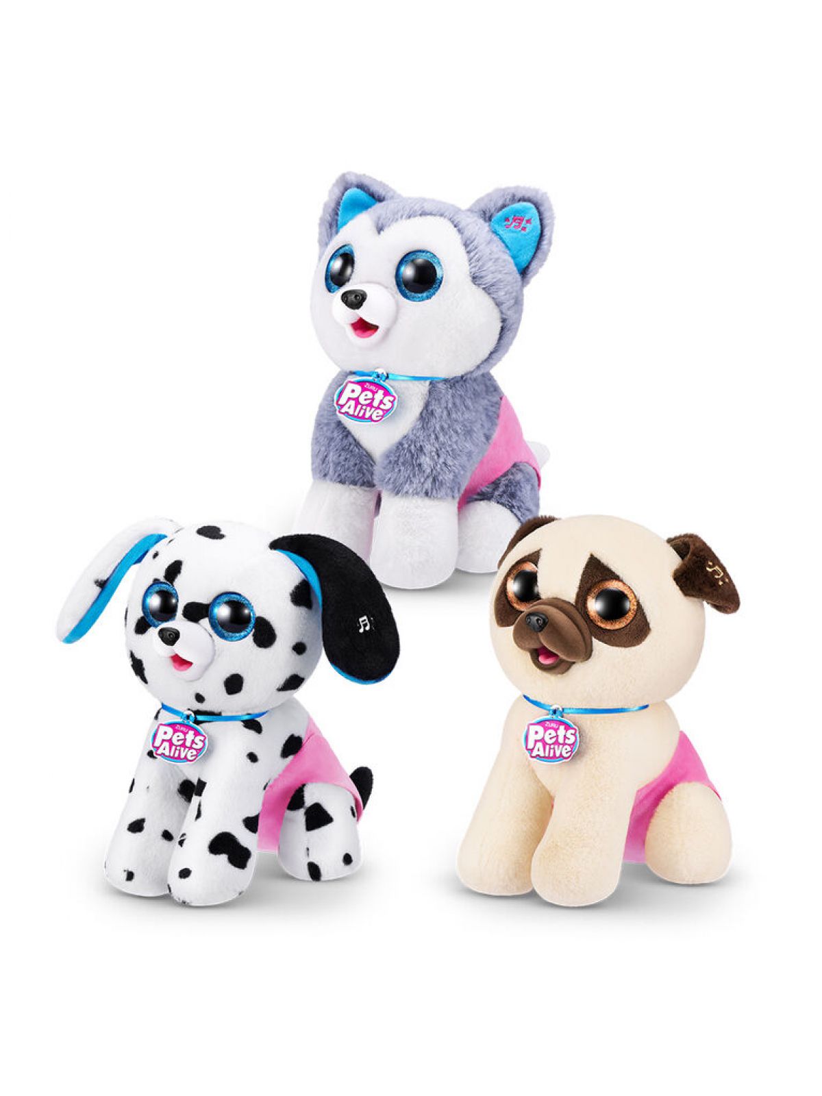 פטס אלייב - גורים עושים קקי