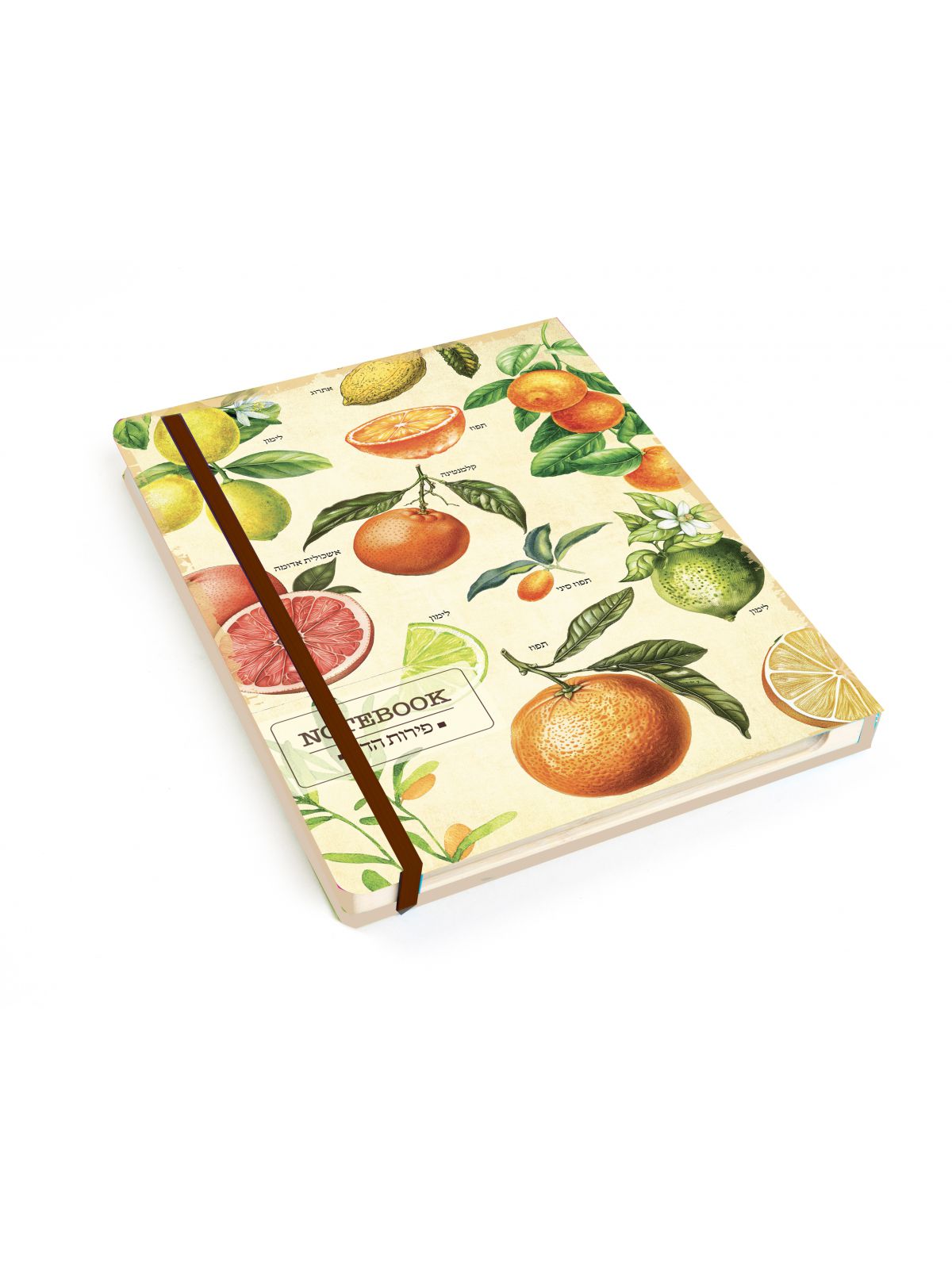 פירות הדר מחברת וינטג VINTAGE