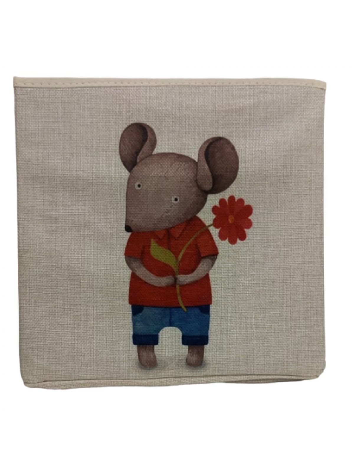 עכבר מתוק קופסת אחסון מעוצבת