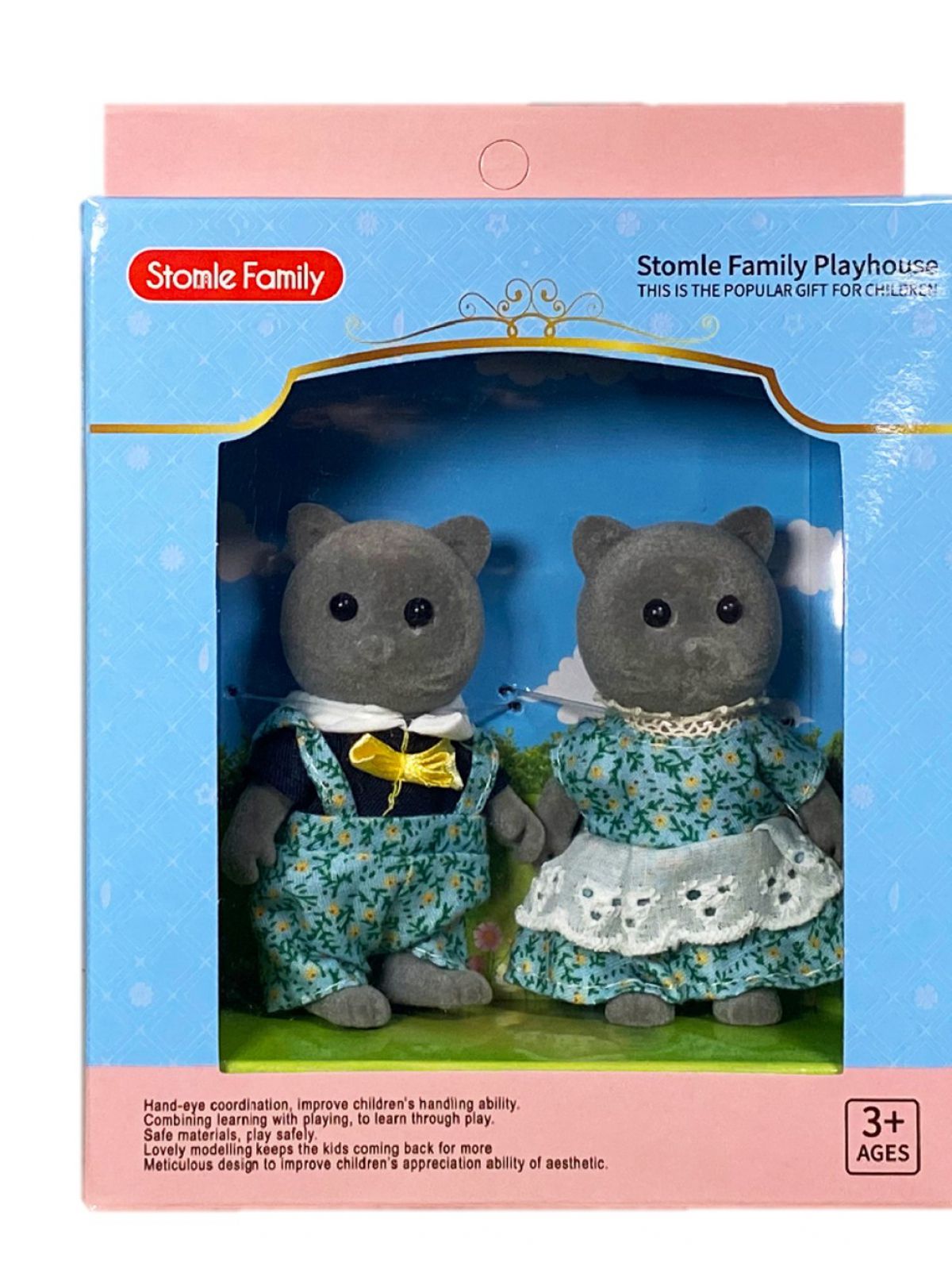 זוג החתולים H05