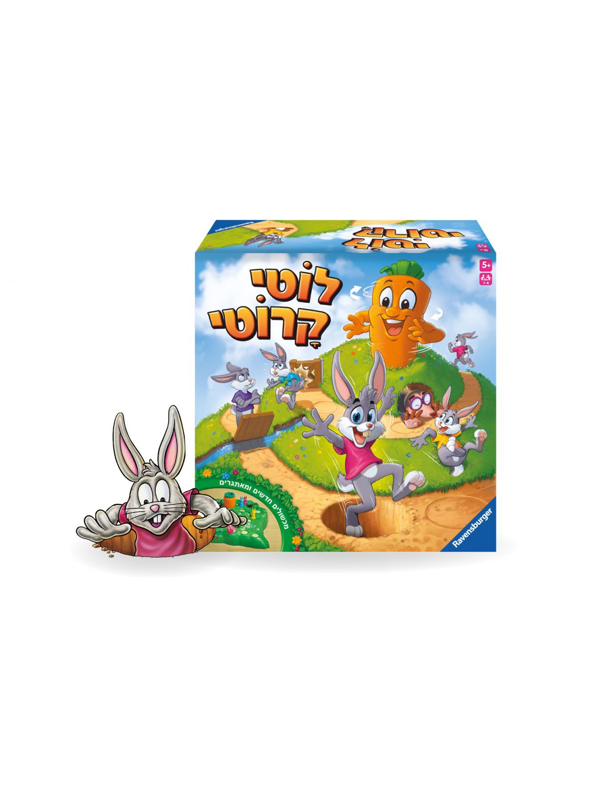 לוטי קרוטי עברית משחק קופסה