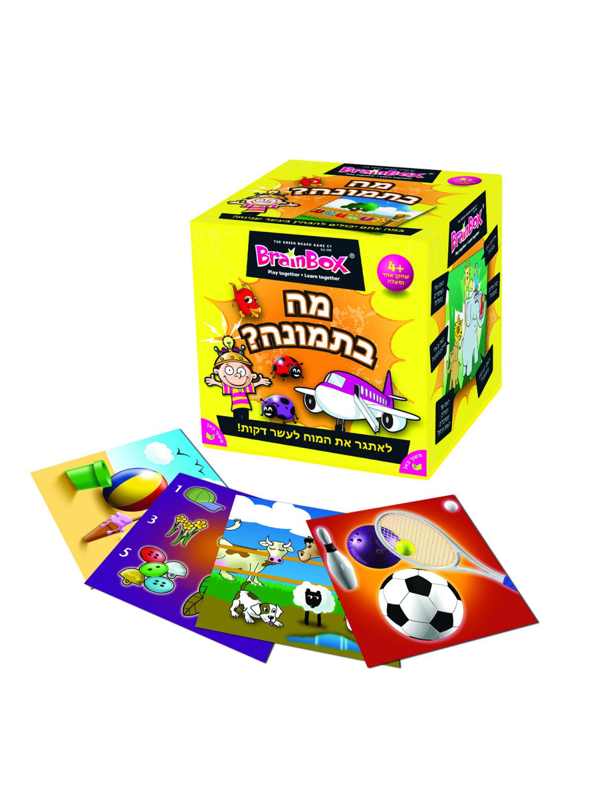 מה בתמונה בריין בוקס