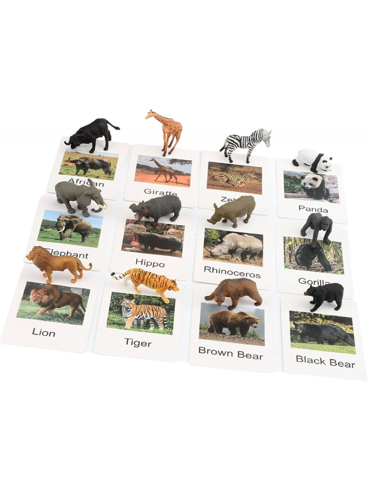 משחק התאמה בעלי חיים