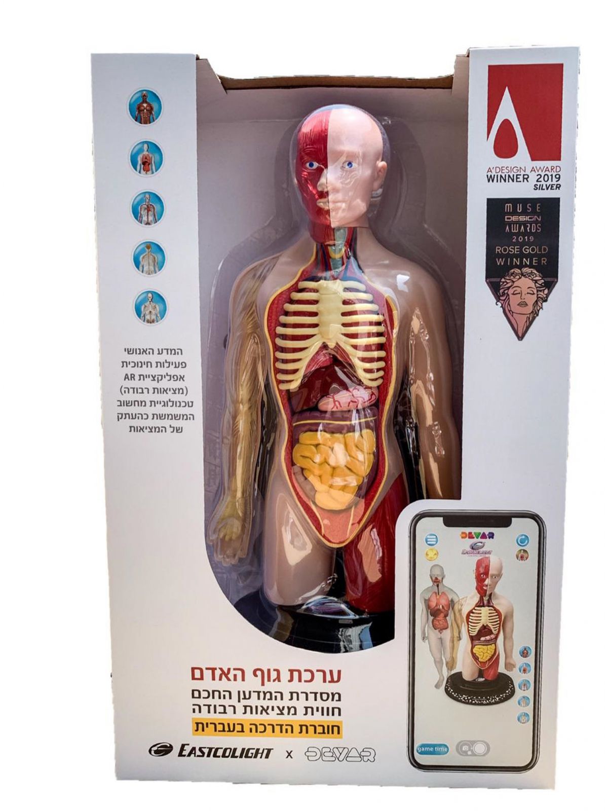 ערכת גוף האדם