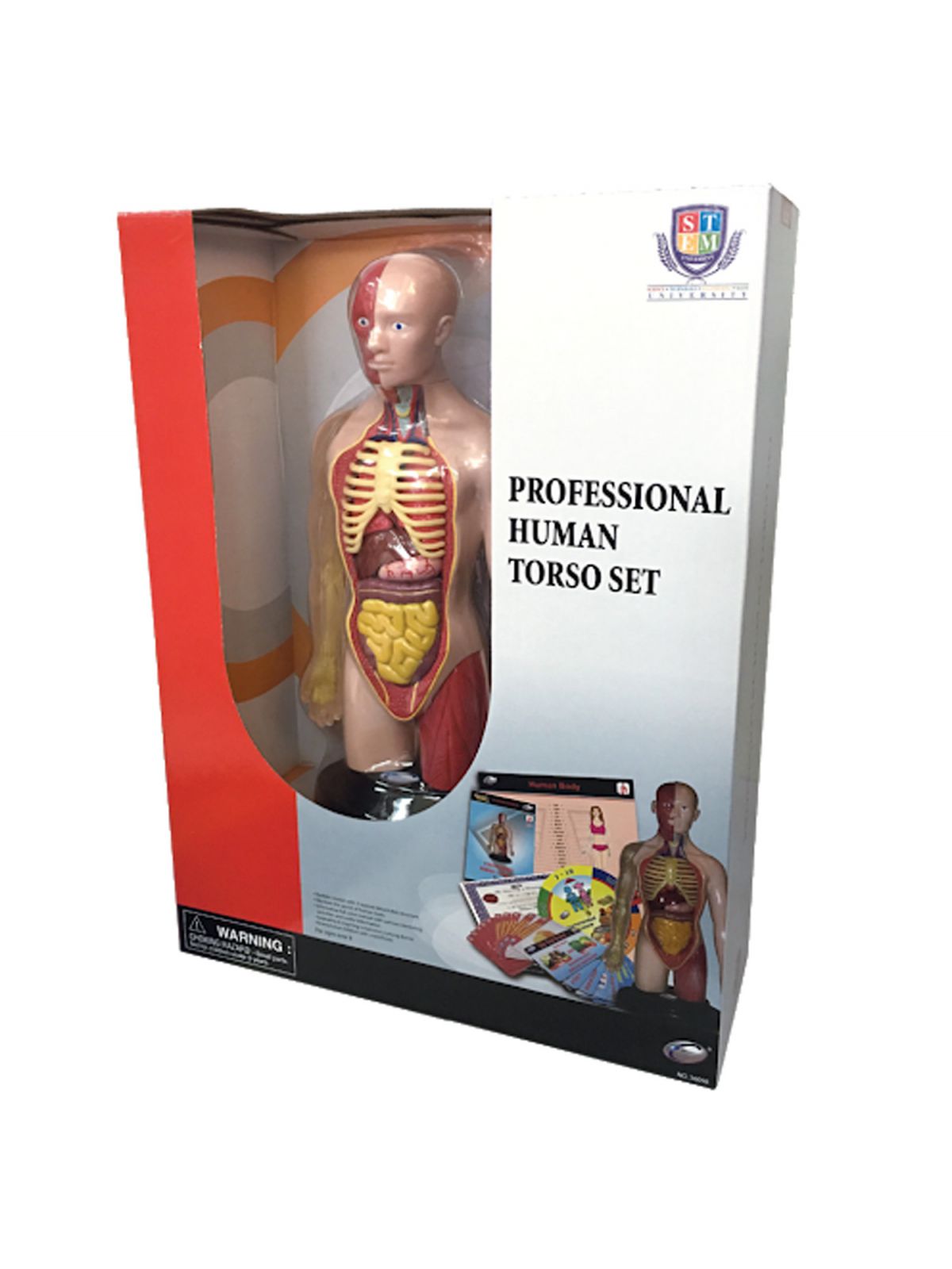 ערכת גוף האדם