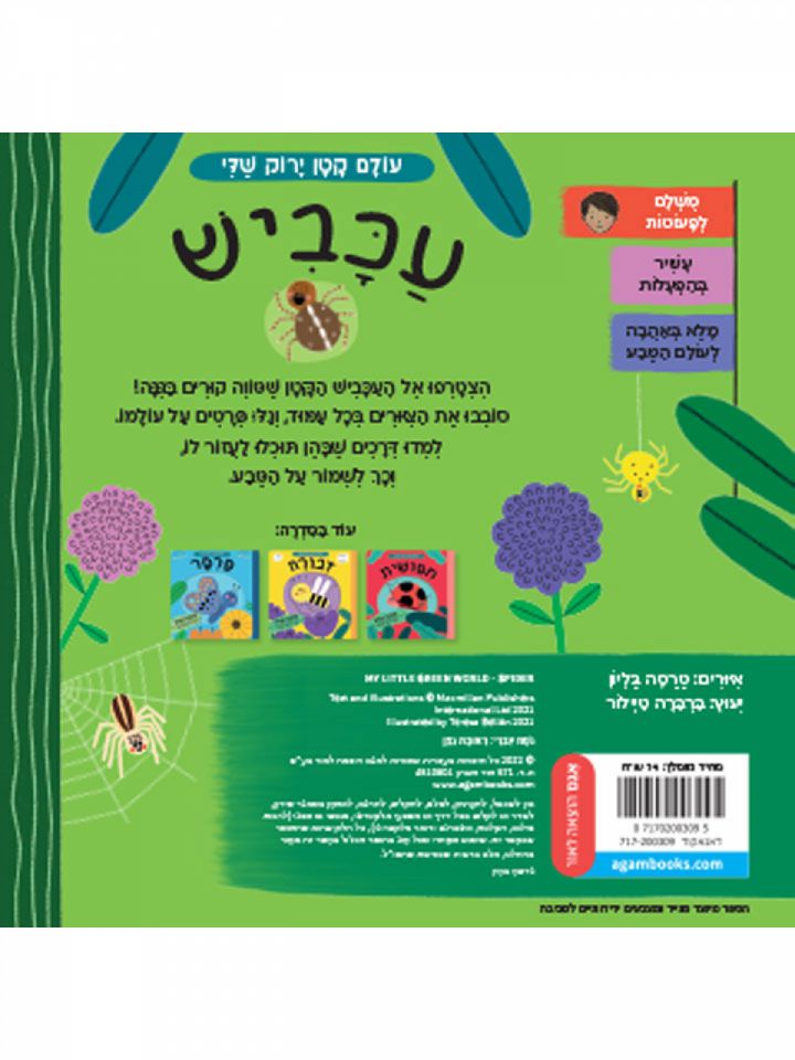 עולם קטן ירוק שלי עכביש