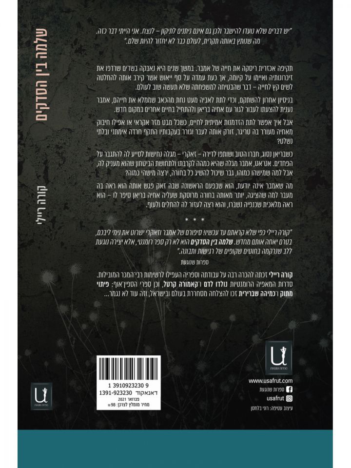 שלמה בין הסדקים