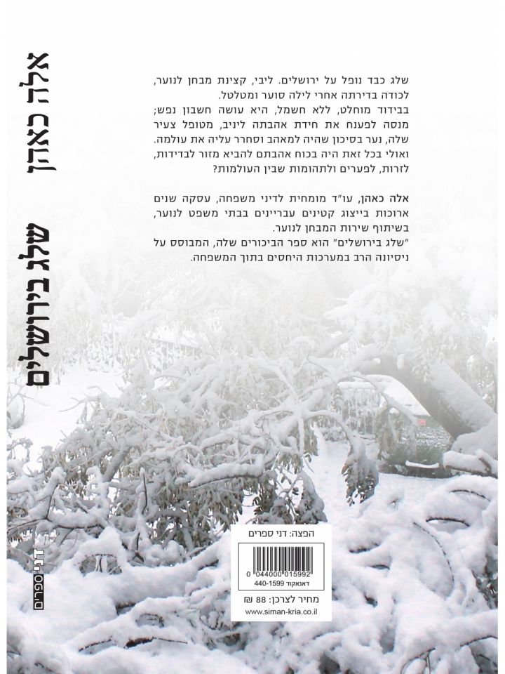 שלג בירושלים