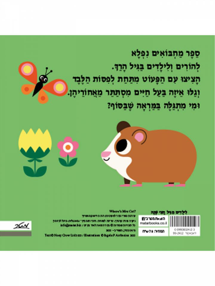 איפה גברת חתולה