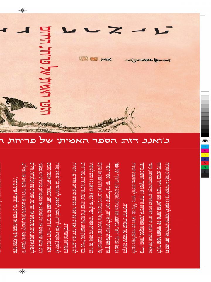 ג’ואנג דזה - הספר האמיתי של פריחת הדרום