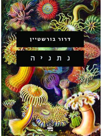 נתניה