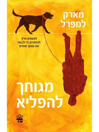 מגוחך להפליא