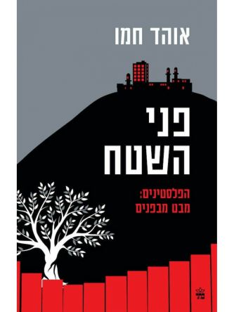 פני השטח הפלסטינים מבט מבפנים