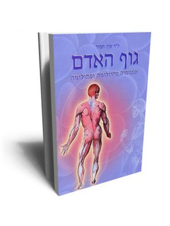 גוף האדם אנטומיה
