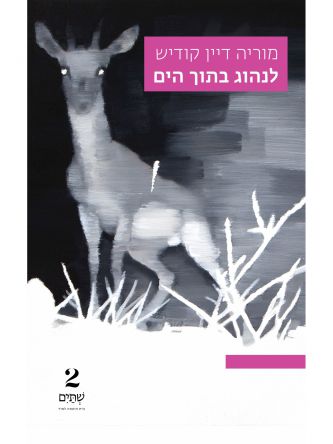 לנהוג בתוך הים