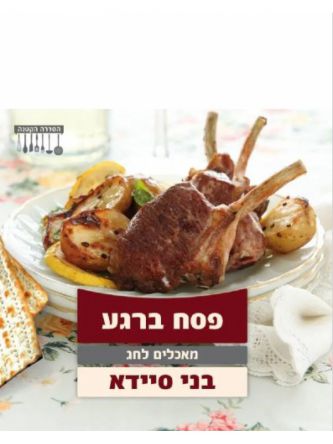 הסדרה הקטנה פסח ברגע בני סיידא