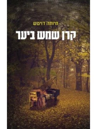 קרן שמש ביער