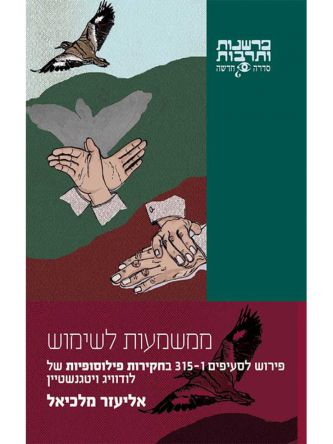 ממשמעות לשימוש