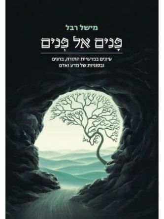 פנים אל פנים