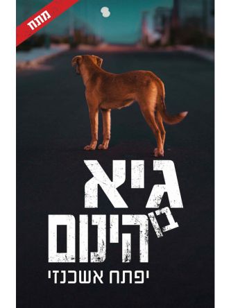גיא בן הינום