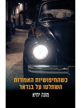 כשהחיפושיות האפורות השתלטו על בגדאד