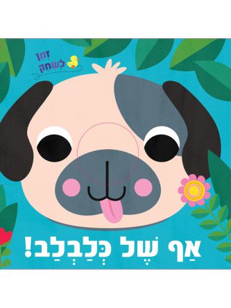 אף של כלבלב