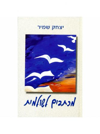 מכתבים לשולמית