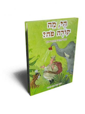 הי  מה קורה פה?