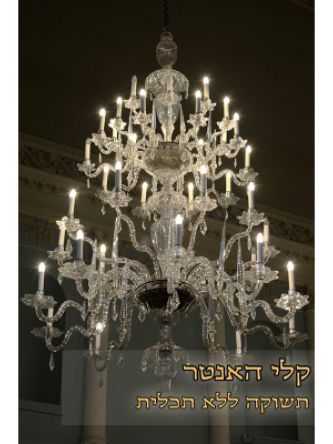 תשוקה ללא תכלית