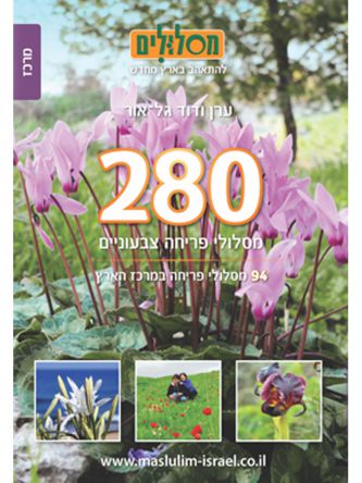 280 מסלולי פריחה צבעוניים כרך מרכז