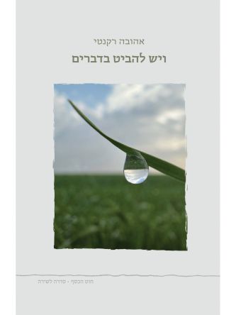 ויש להביט בדברים