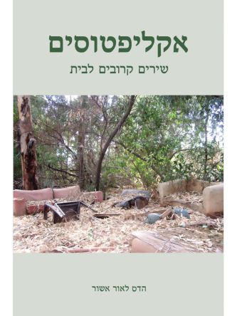 אקליפטוסים-שירים קרובים לבית