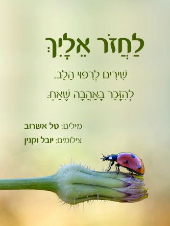 לחזור אליך