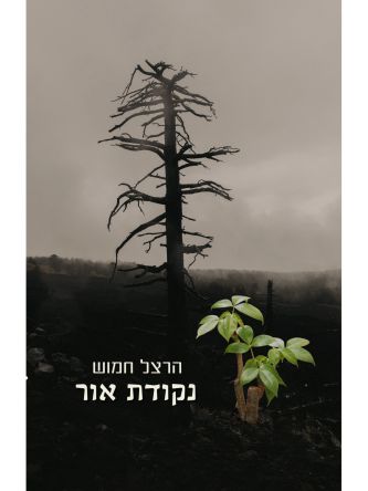 נקודת אור