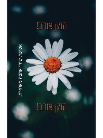 הזקן אוהב