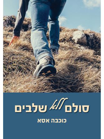 סולם ללא שלבים