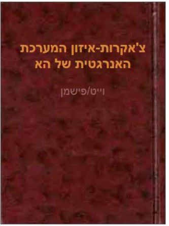 צ’אקרות-איזון המערכת האנרגטית של הא