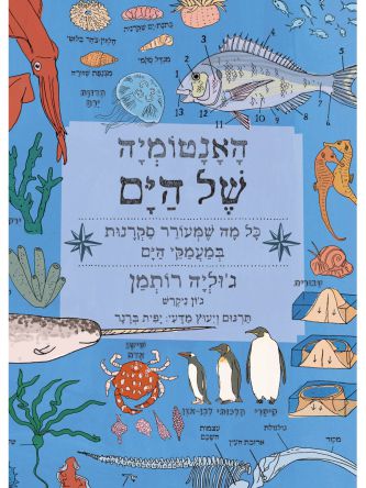 האנטומיה של הים