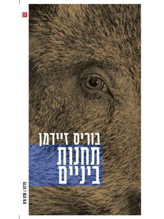 תחנות ביניים