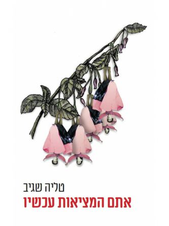 אתם המציאות עכשיו