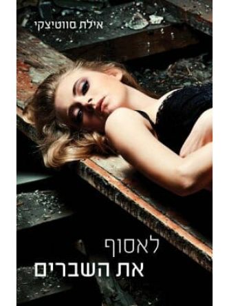 לאסוף את השברים 1